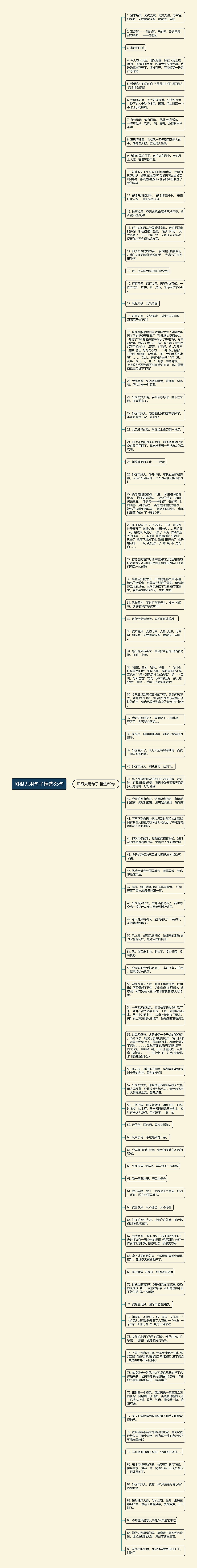 风很大用句子精选85句思维导图