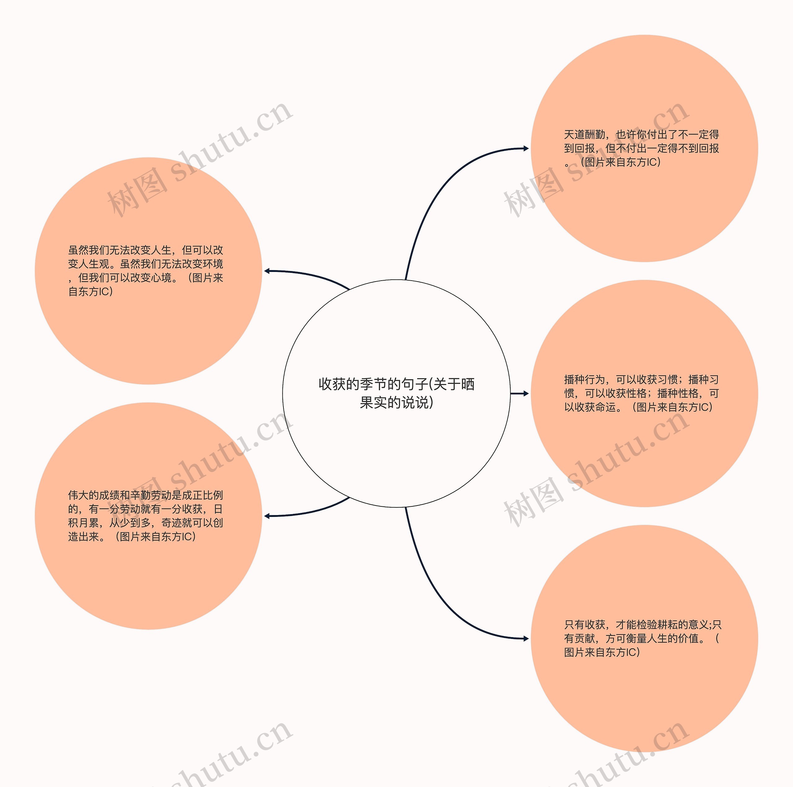 收获的季节的句子(关于晒果实的说说) 收获的季节的句子(关于晒果实的说说)