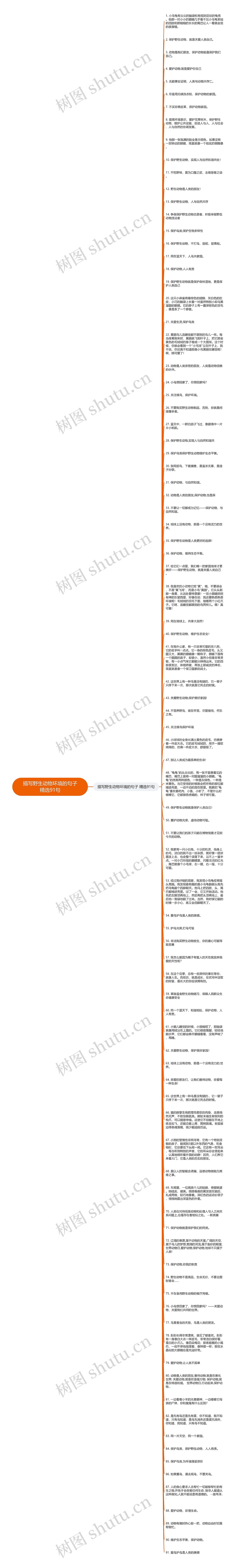 描写野生动物环境的句子精选91句思维导图