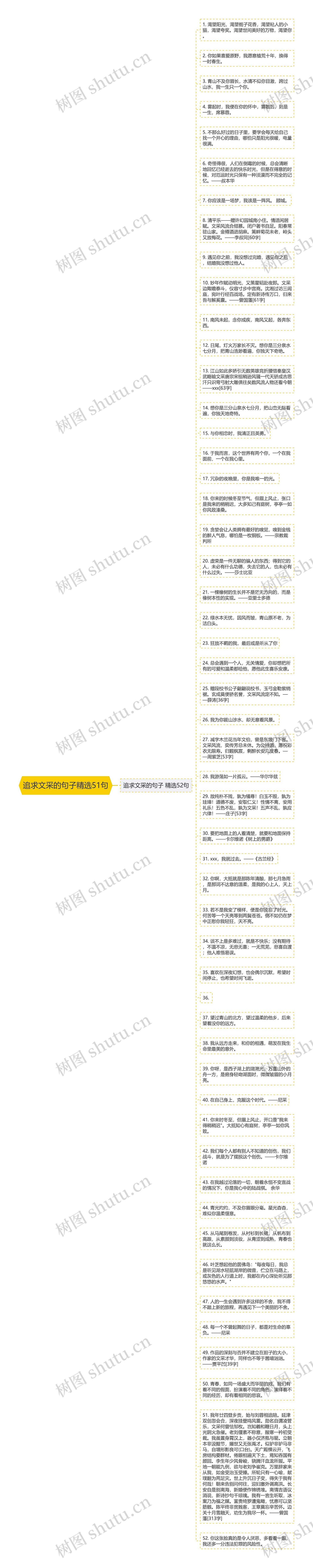 追求文采的句子精选51句思维导图