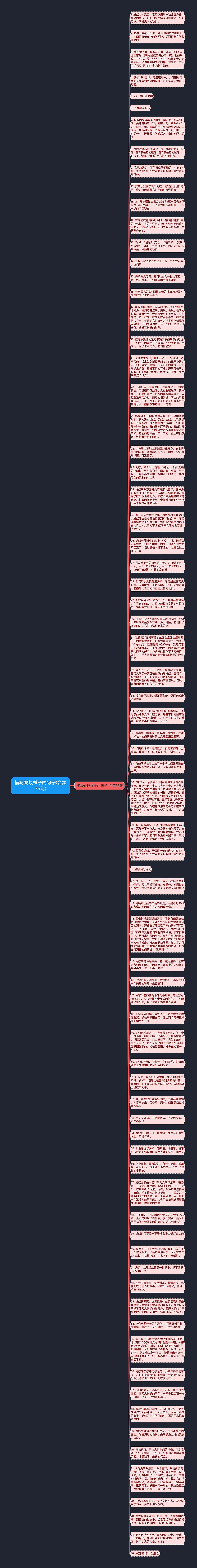 描写蚂蚁样子的句子(合集75句)