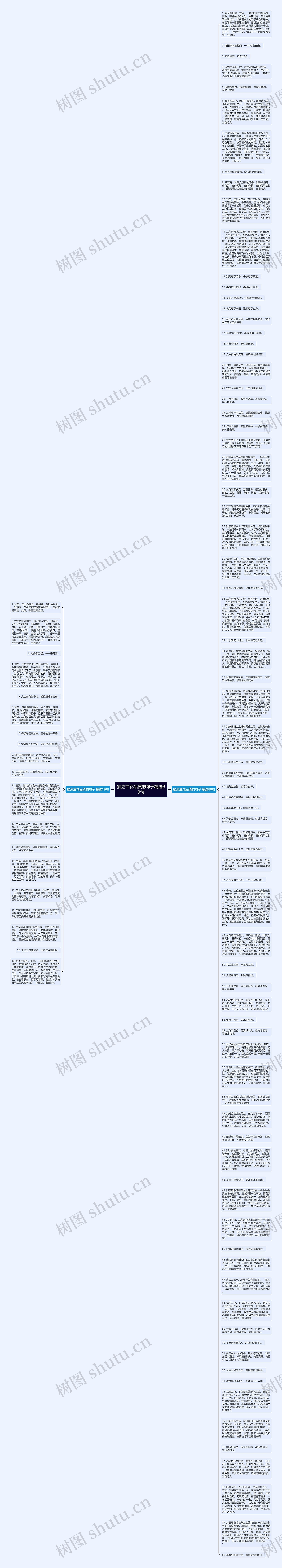 描述兰花品质的句子精选99句思维导图