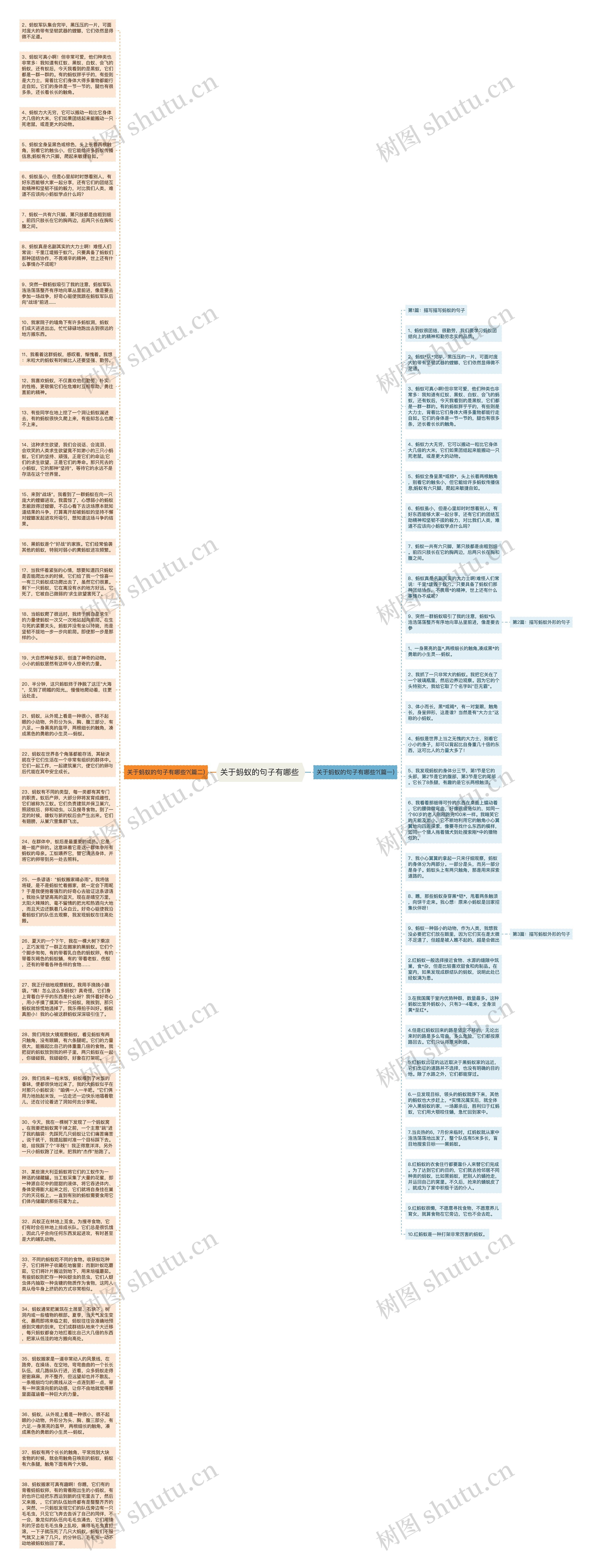 关于蚂蚁的句子有哪些 思维导图