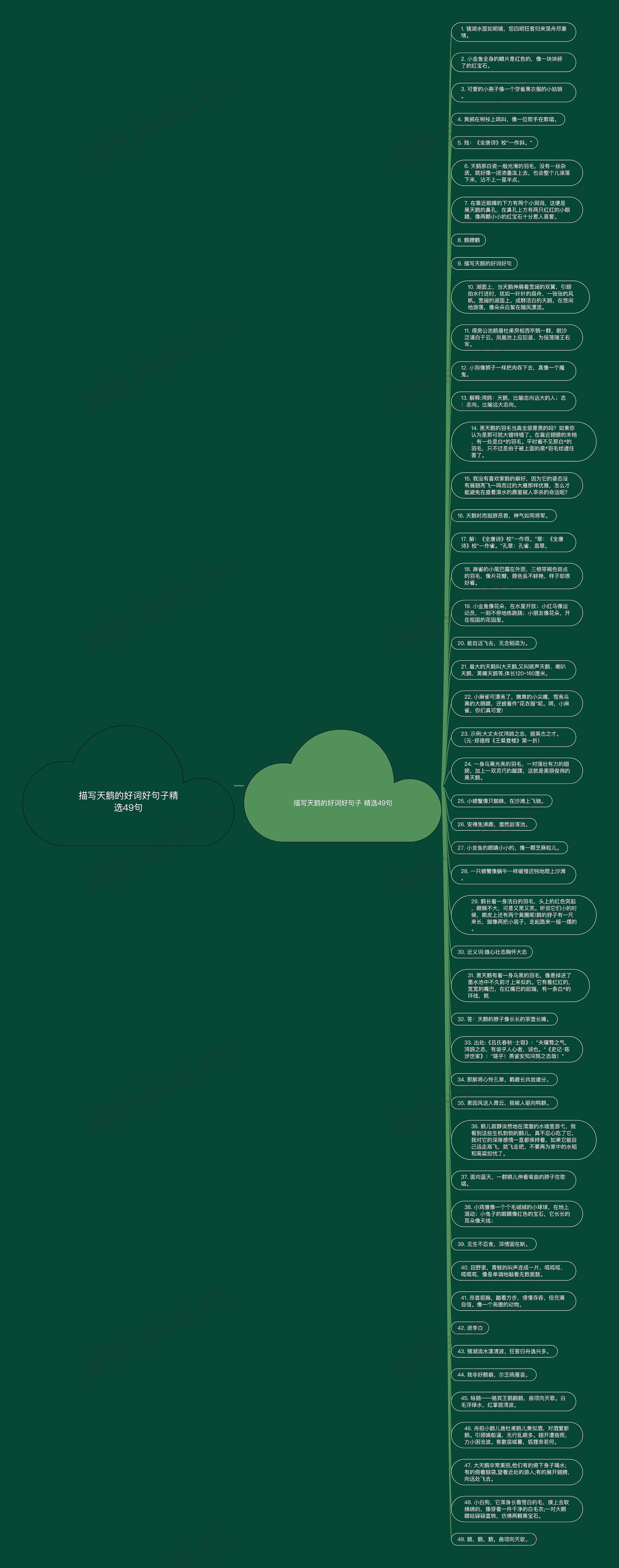 描写天鹅的好词好句子精选49句思维导图