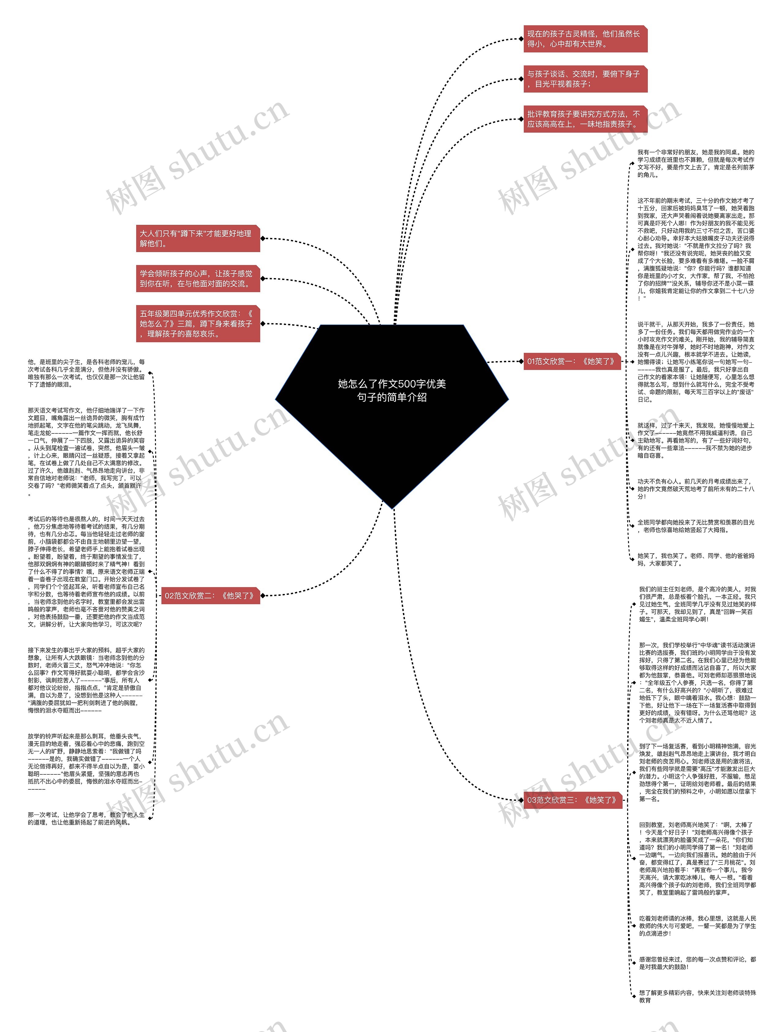 她怎么了作文500字优美句子的简单介绍思维导图