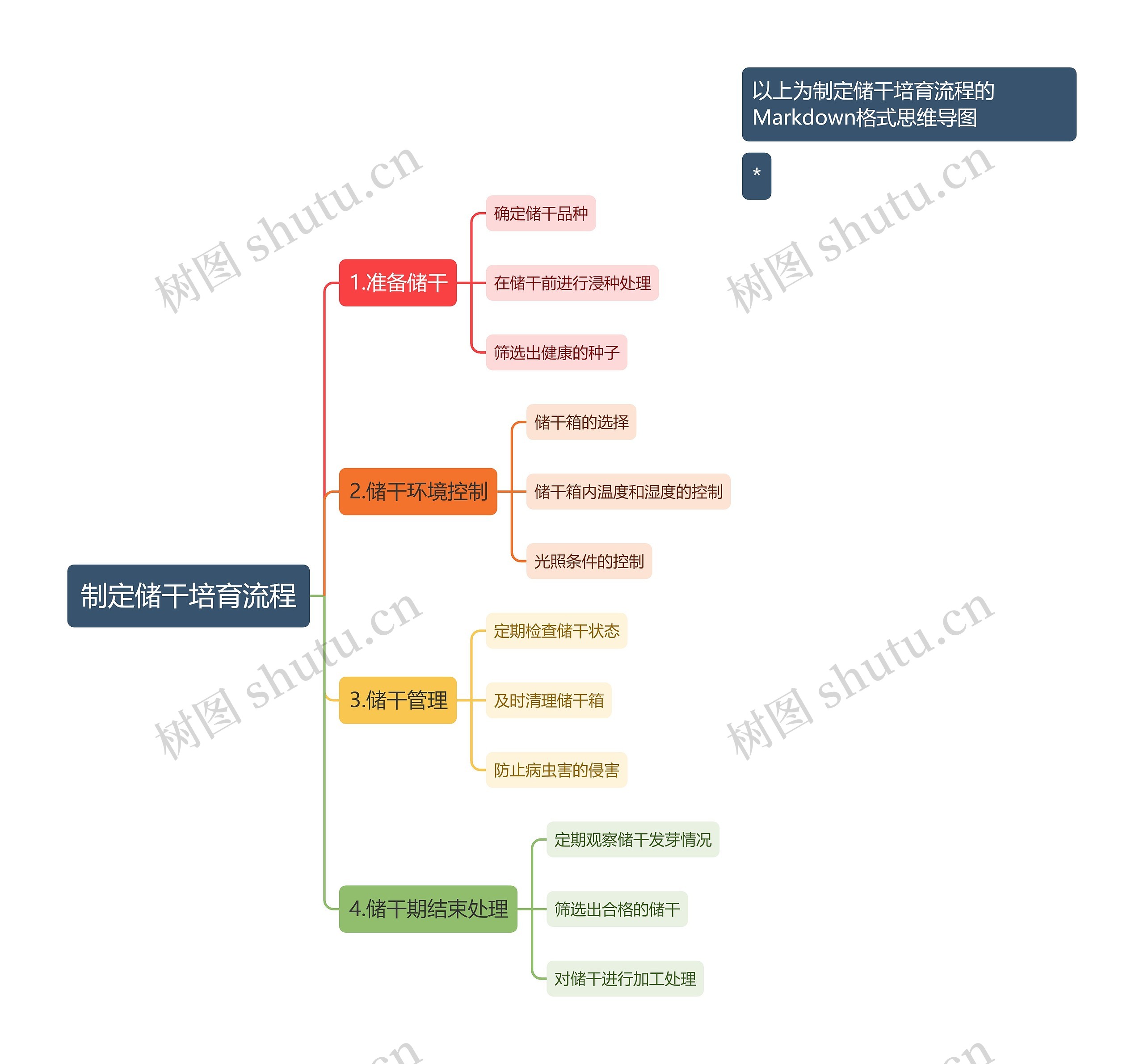 制定储干培育流程思维导图