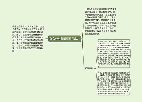 怎么分辨翡翠原石种水？