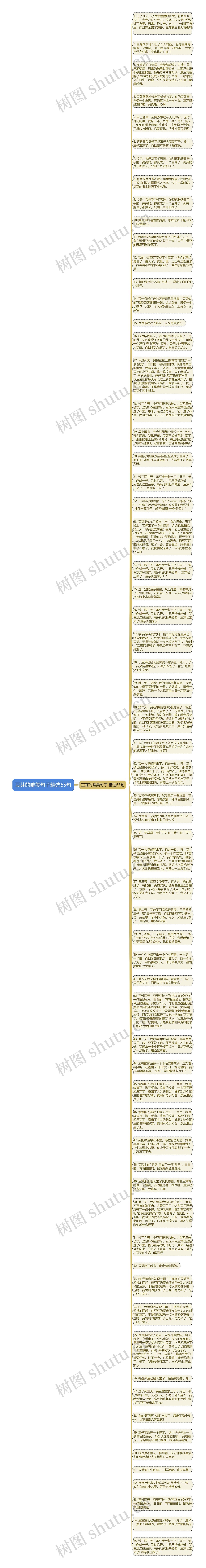 豆芽的唯美句子精选65句思维导图