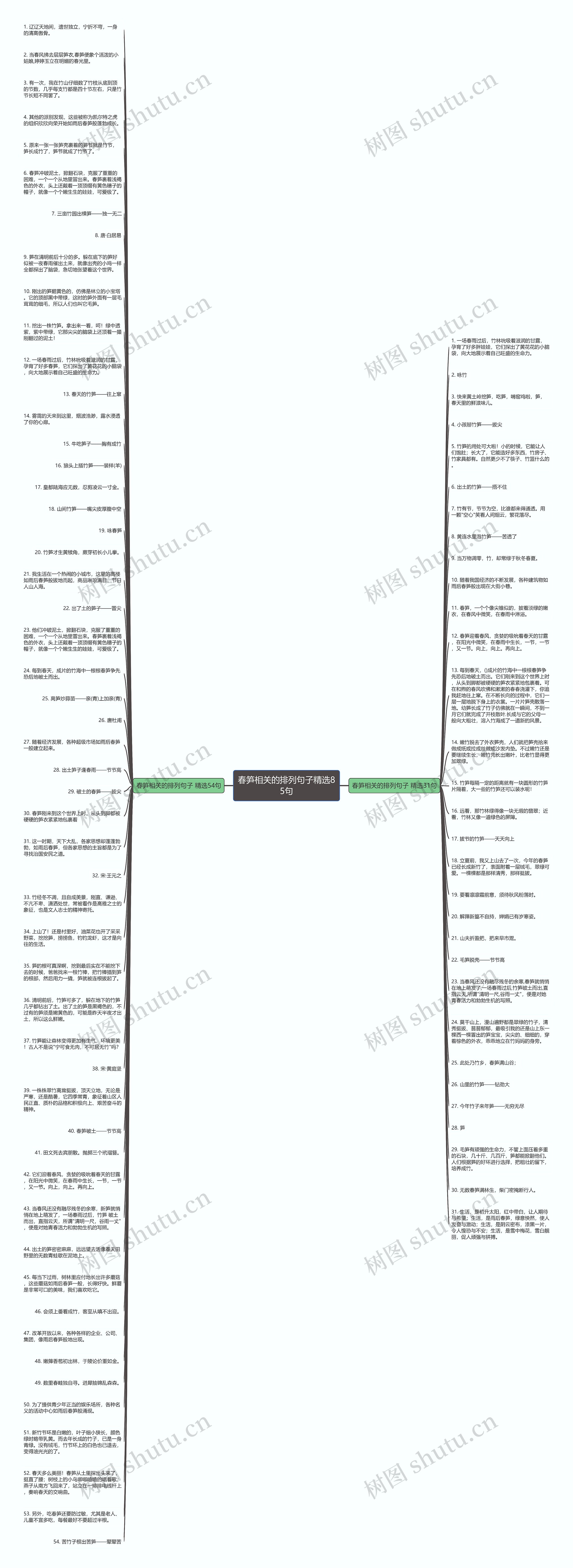 春笋相关的排列句子精选85句思维导图