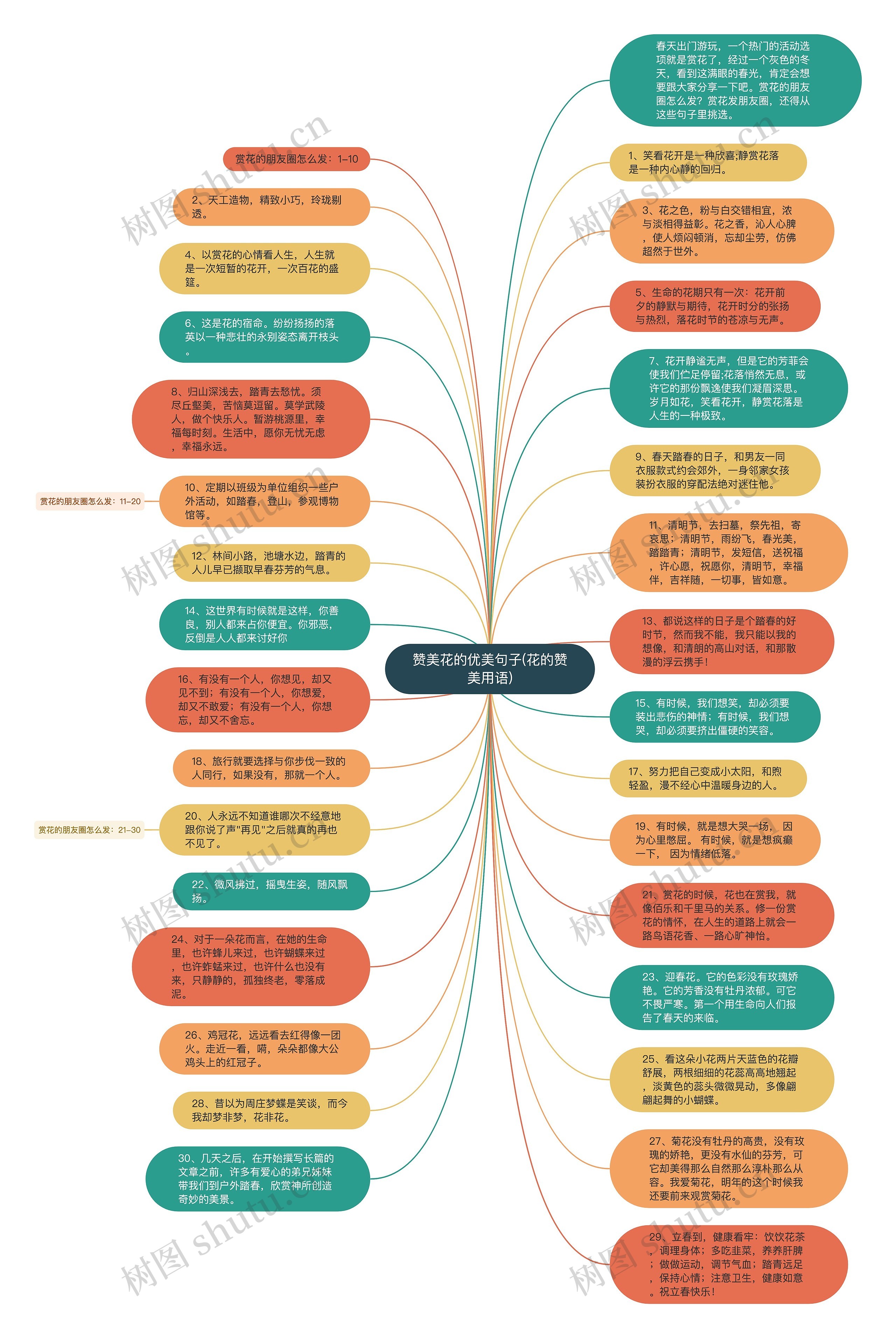 赞美花的优美句子(花的赞美用语)思维导图