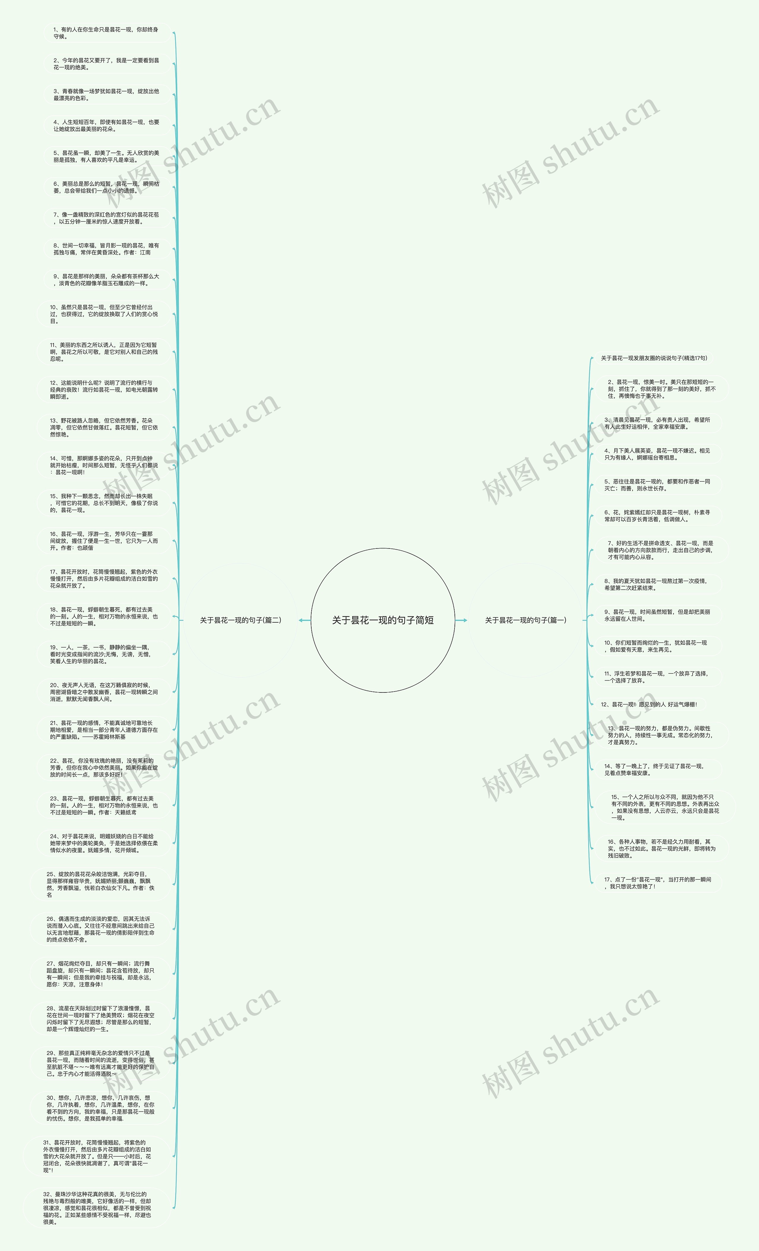 关于昙花一现的句子简短思维导图