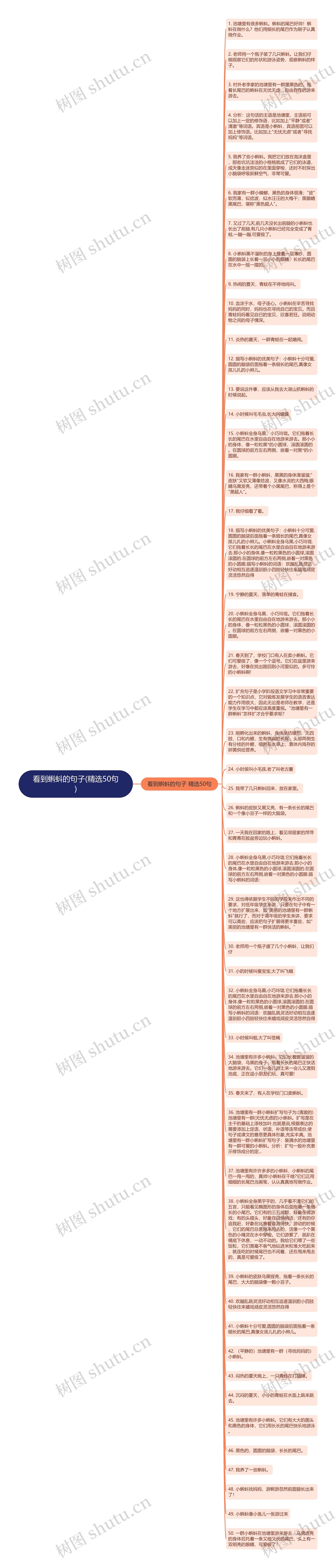 看到蝌蚪的句子(精选50句)思维导图