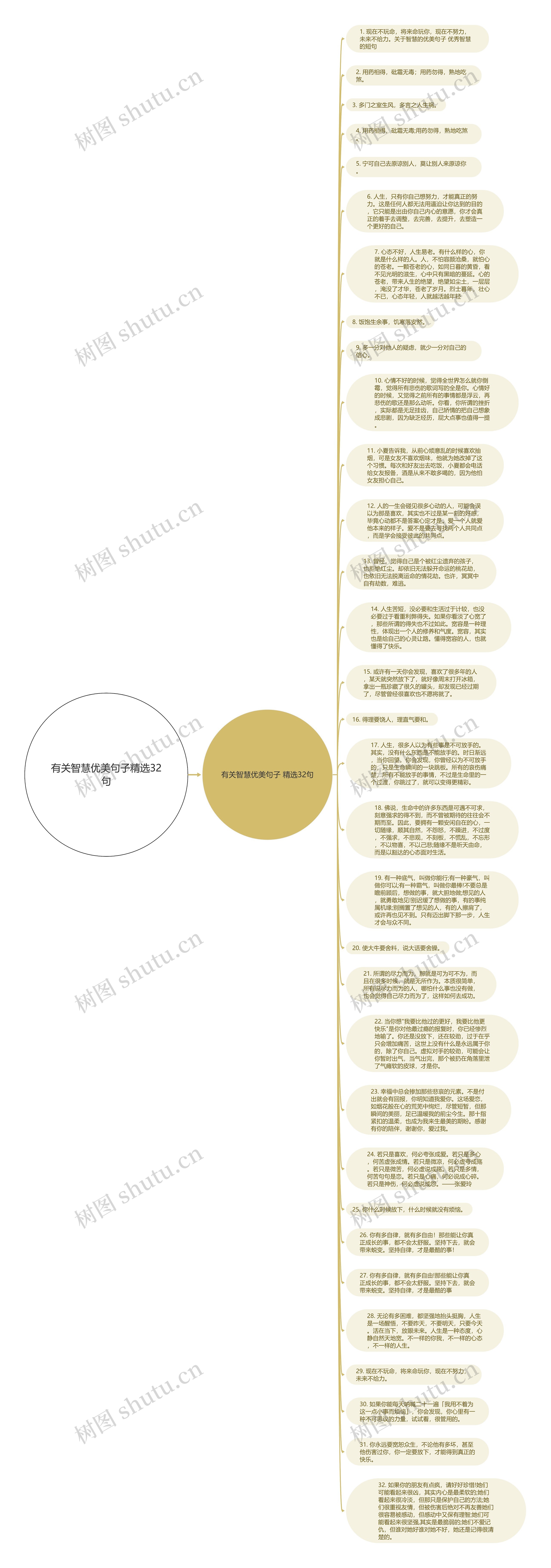 有关智慧优美句子精选32句