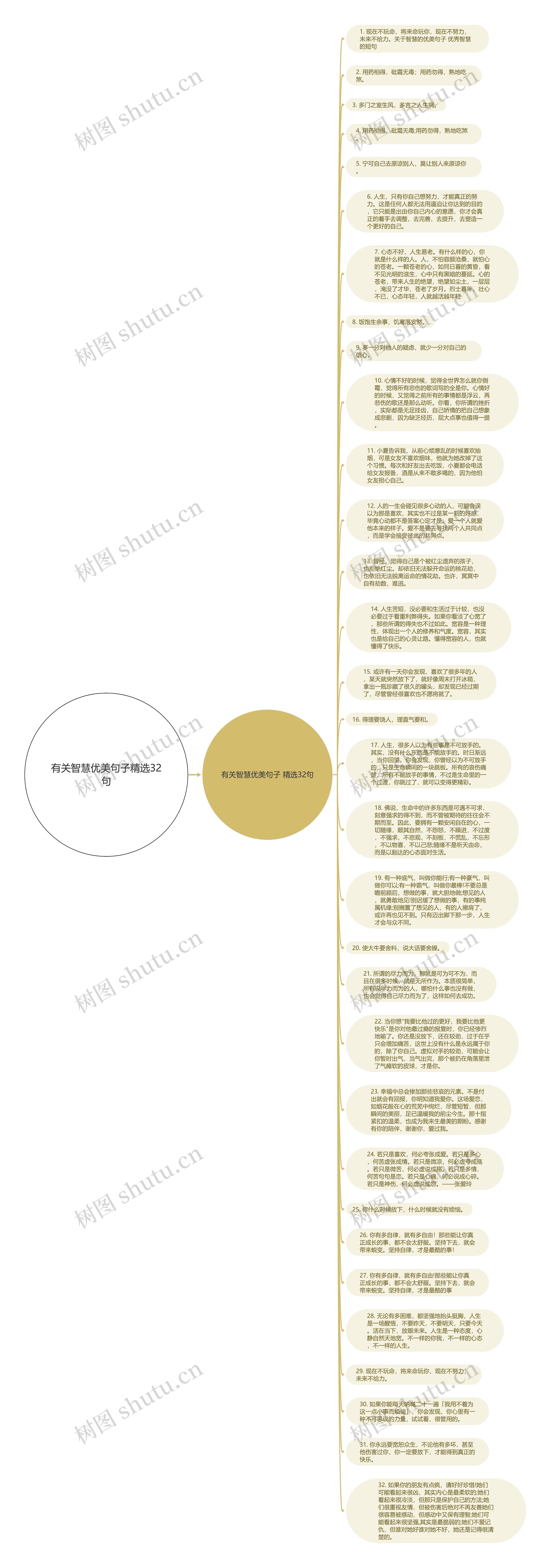 有关智慧优美句子精选32句思维导图