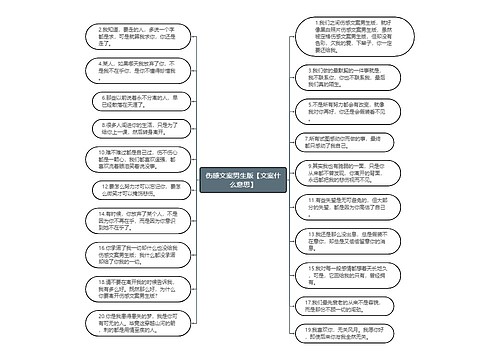 伤感文案男生版【文案什么意思】