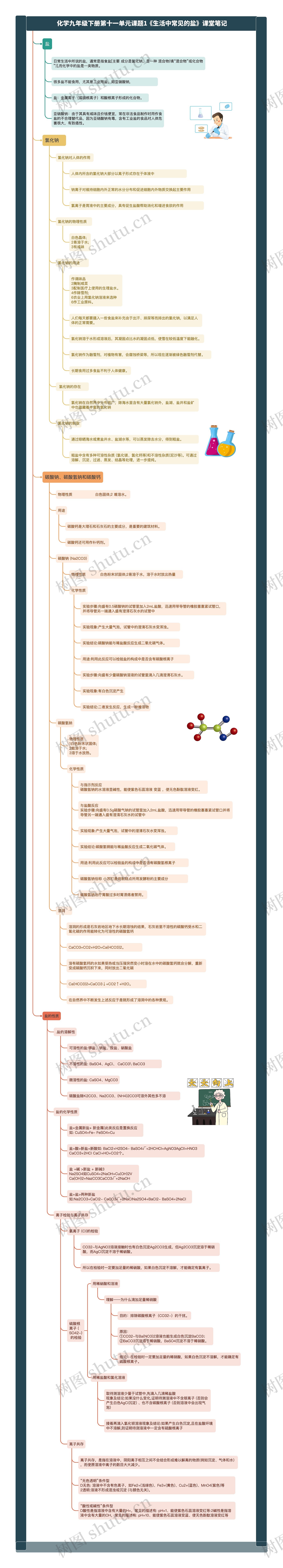 化学九年级下册第十一单元课题1《生活中常见的盐》课堂笔记