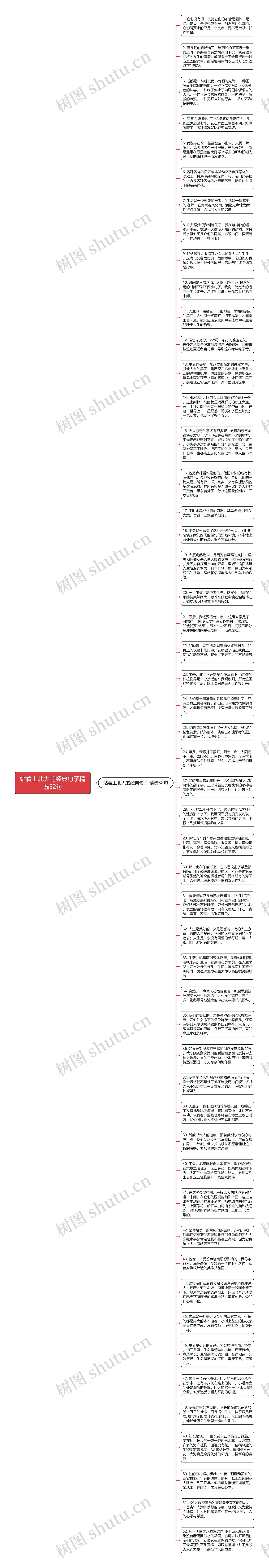 站着上北大的经典句子精选52句思维导图