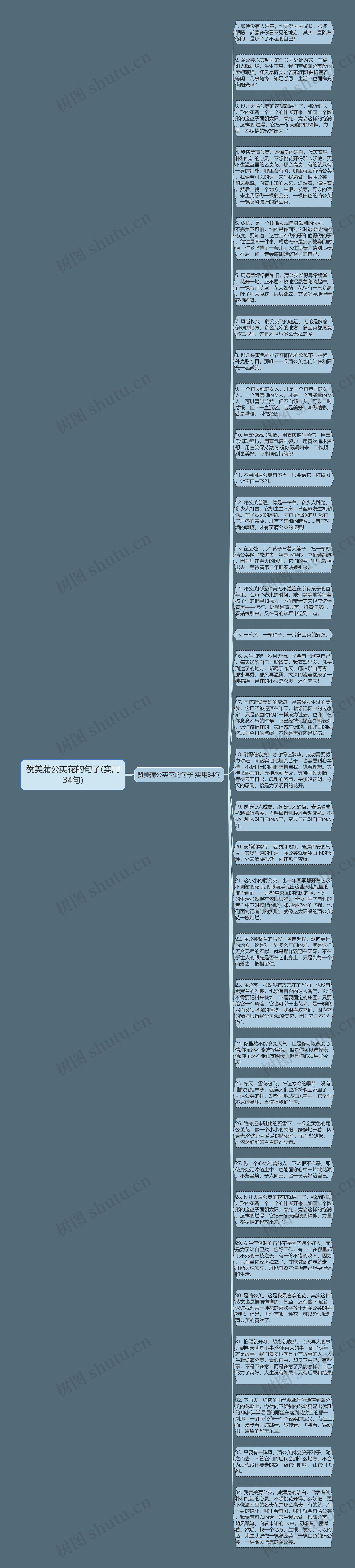 赞美蒲公英花的句子(实用34句)思维导图