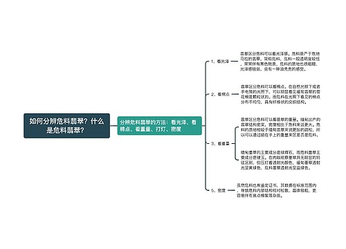 如何分辨危料翡翠？什么是危料翡翠？