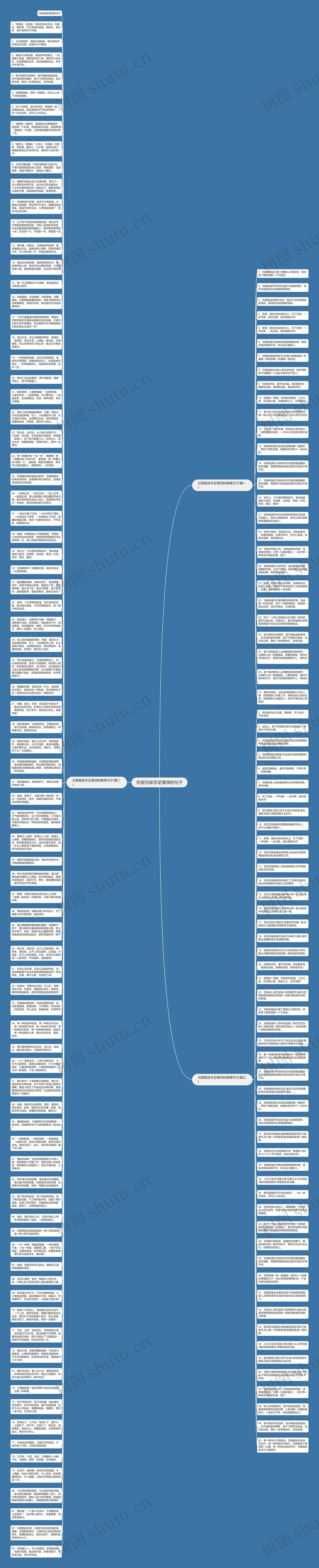 形容兄妹手足情深的句子思维导图