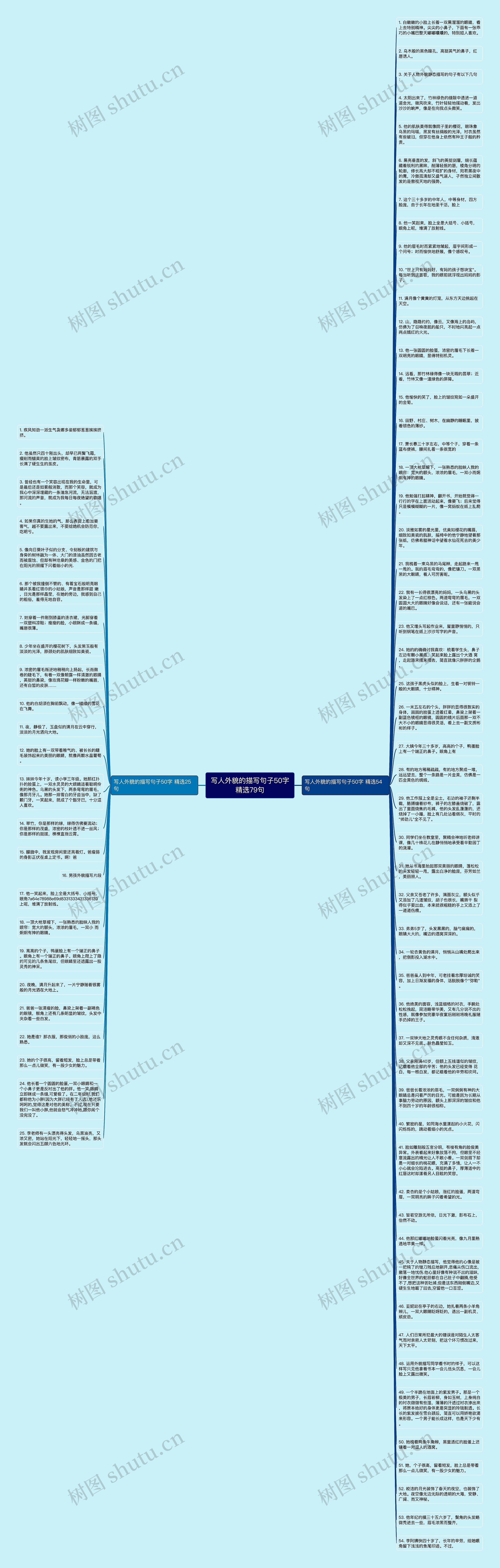 写人外貌的描写句子50字精选79句思维导图