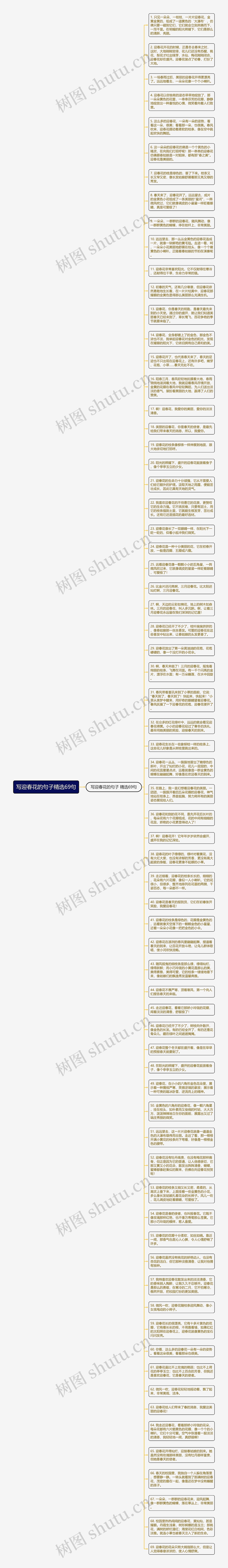 写迎春花的句子精选69句思维导图