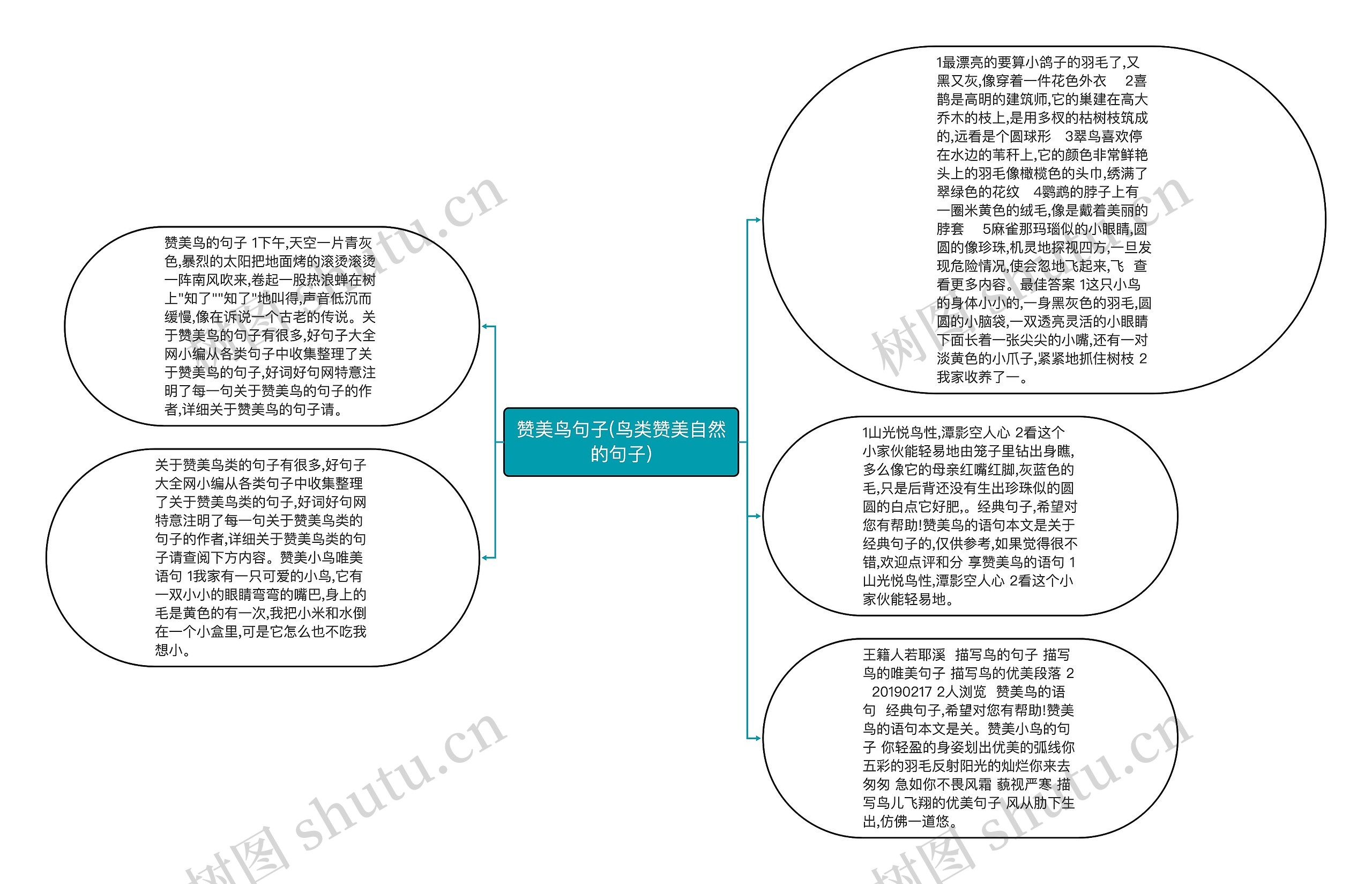 赞美鸟句子(鸟类赞美自然的句子)