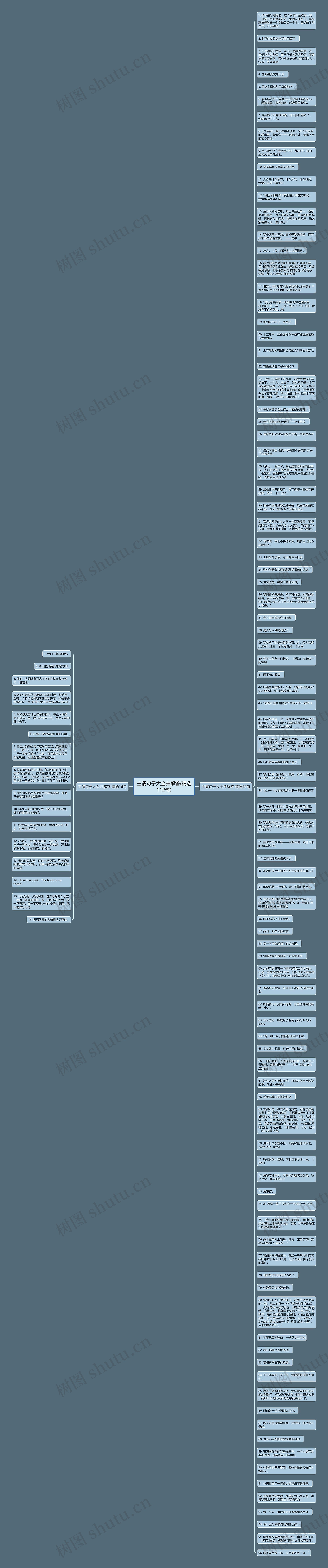 主谓句子大全并解答(精选112句)思维导图