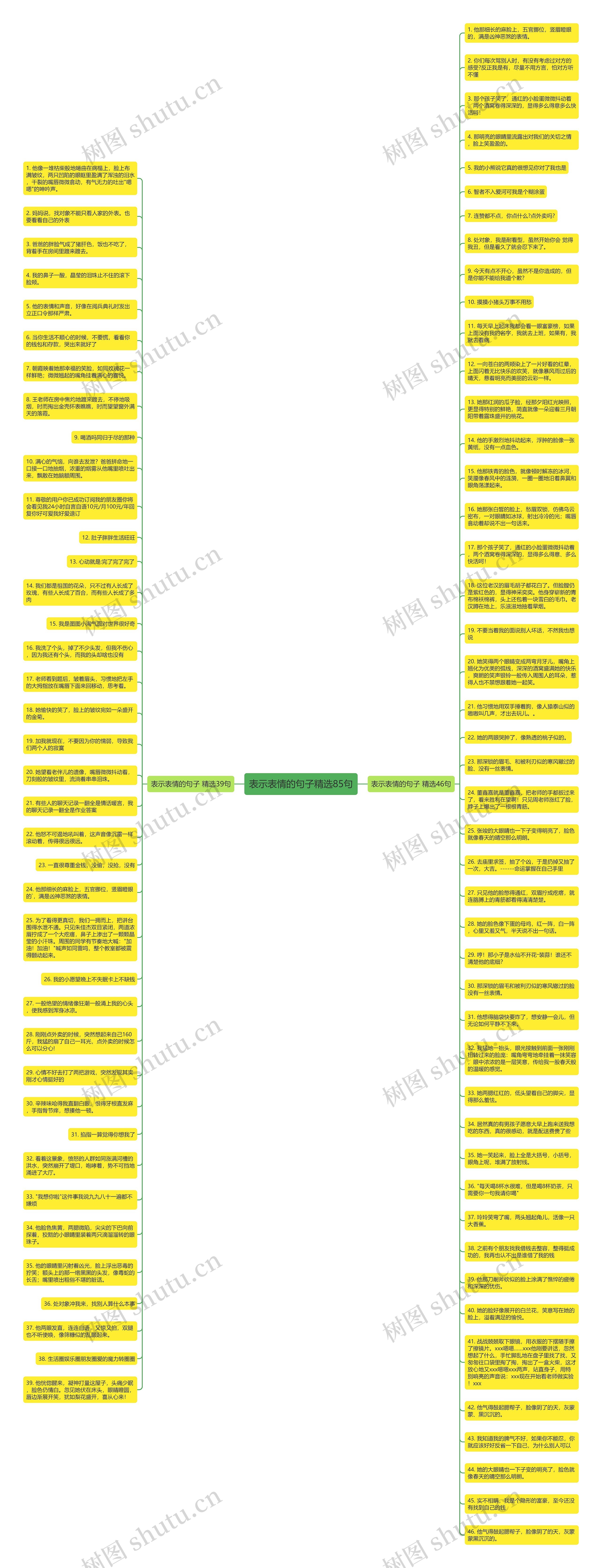 表示表情的句子精选85句思维导图