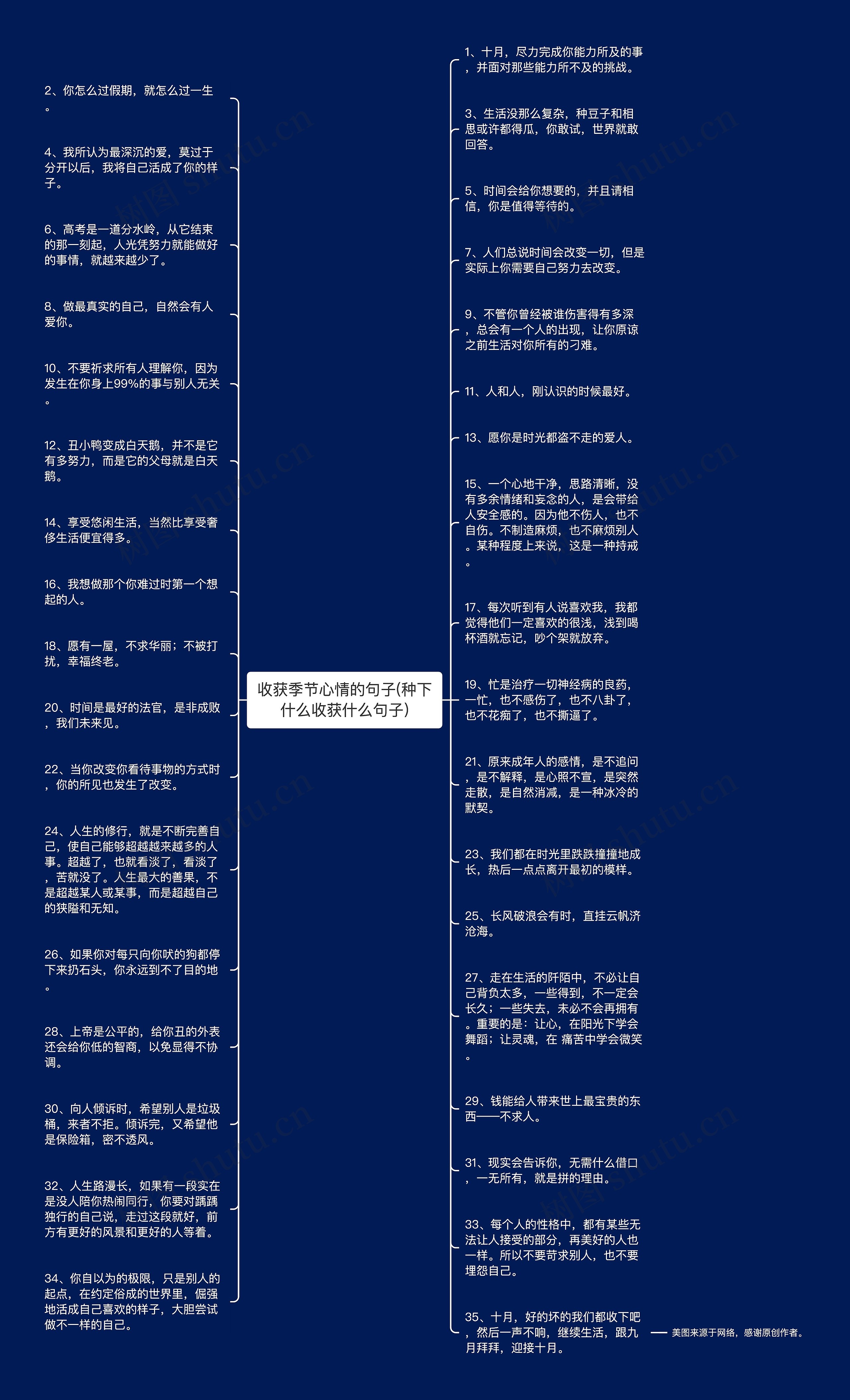 收获季节心情的句子(种下什么收获什么句子)思维导图