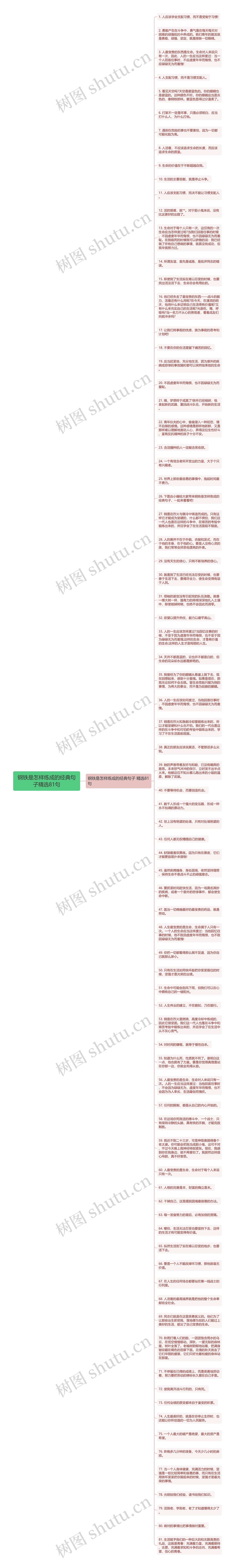 钢铁是怎样练成的经典句子精选81句思维导图