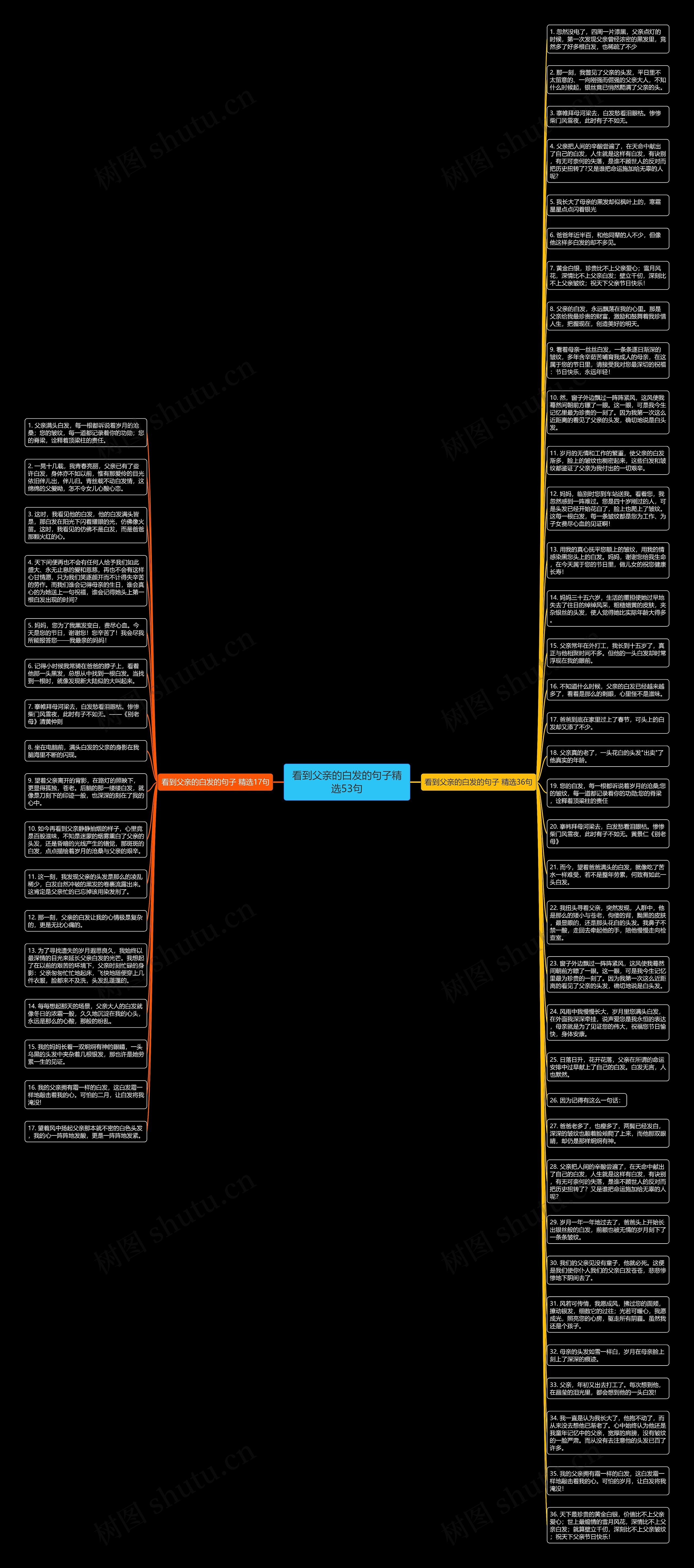 看到父亲的白发的句子精选53句思维导图