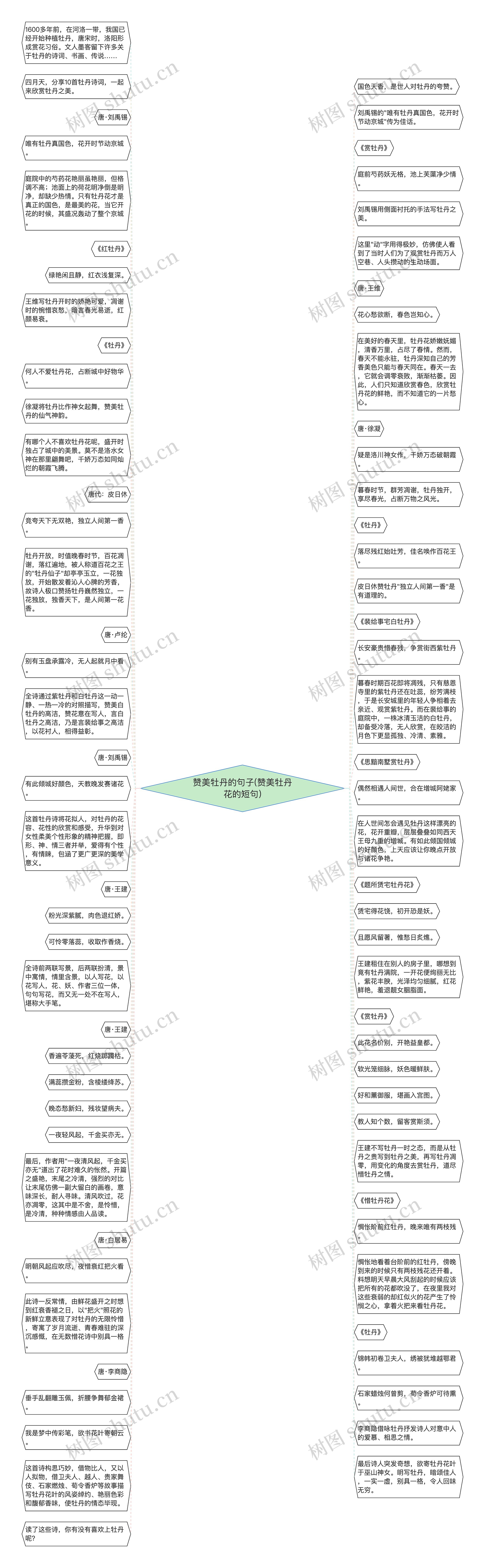 赞美牡丹的句子(赞美牡丹花的短句)