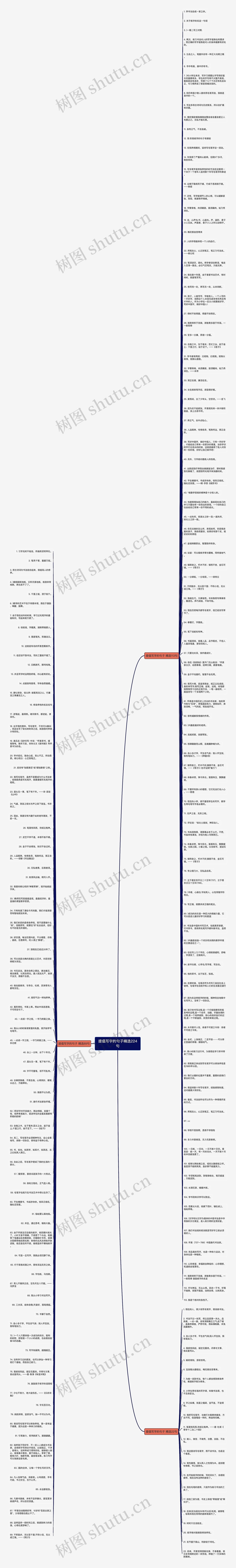 提倡写字的句子精选224句思维导图