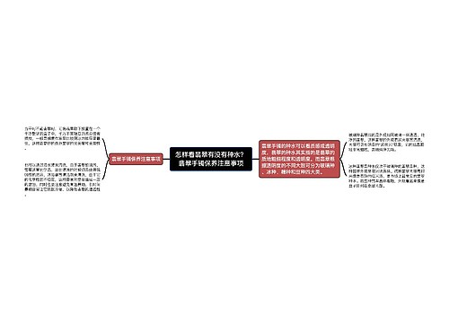 怎样看翡翠有没有种水？翡翠手镯保养注意事项