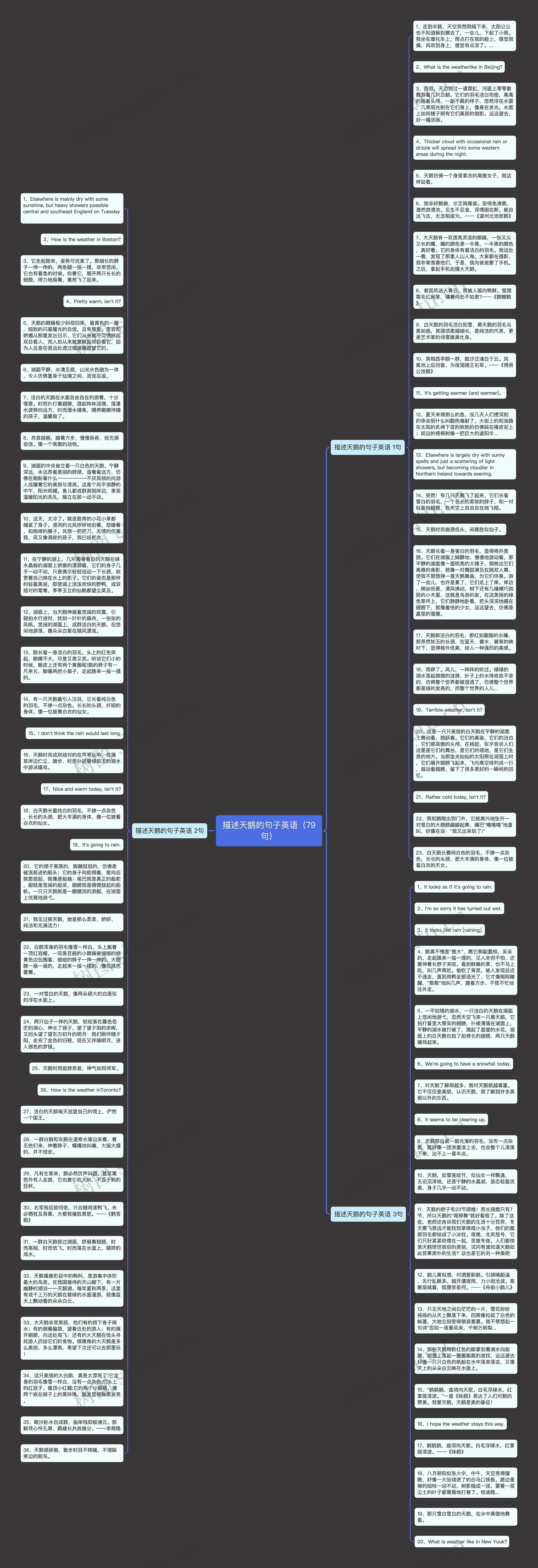描述天鹅的句子英语（79句）思维导图