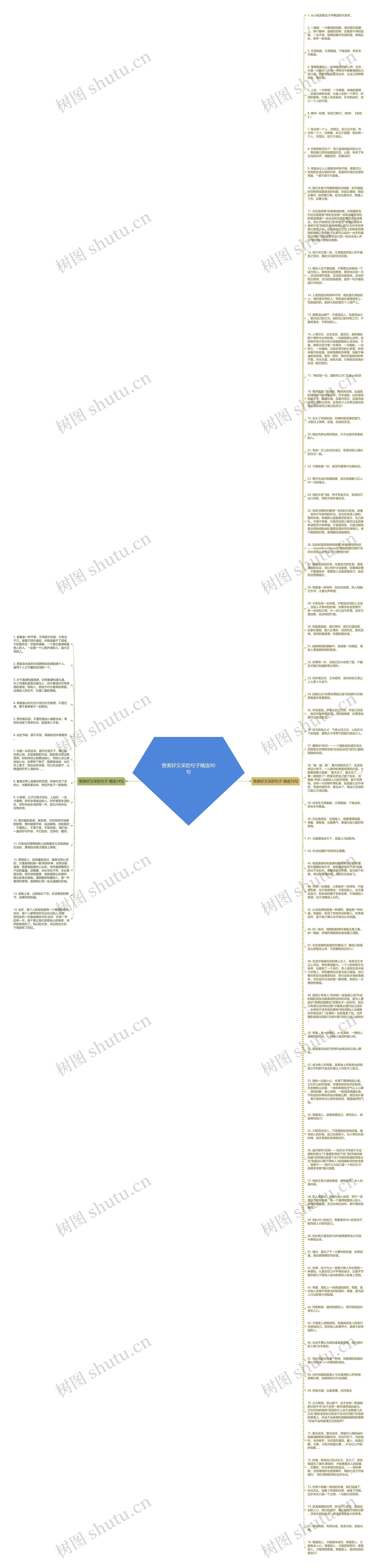 赞美好文采的句子精选90句思维导图