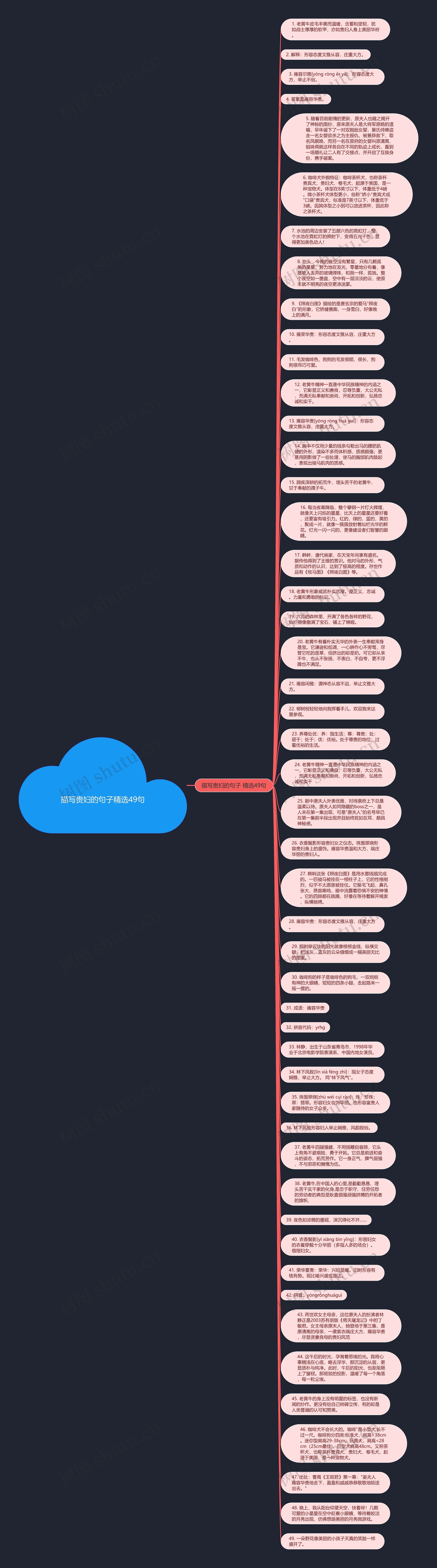 描写贵妇的句子精选49句思维导图