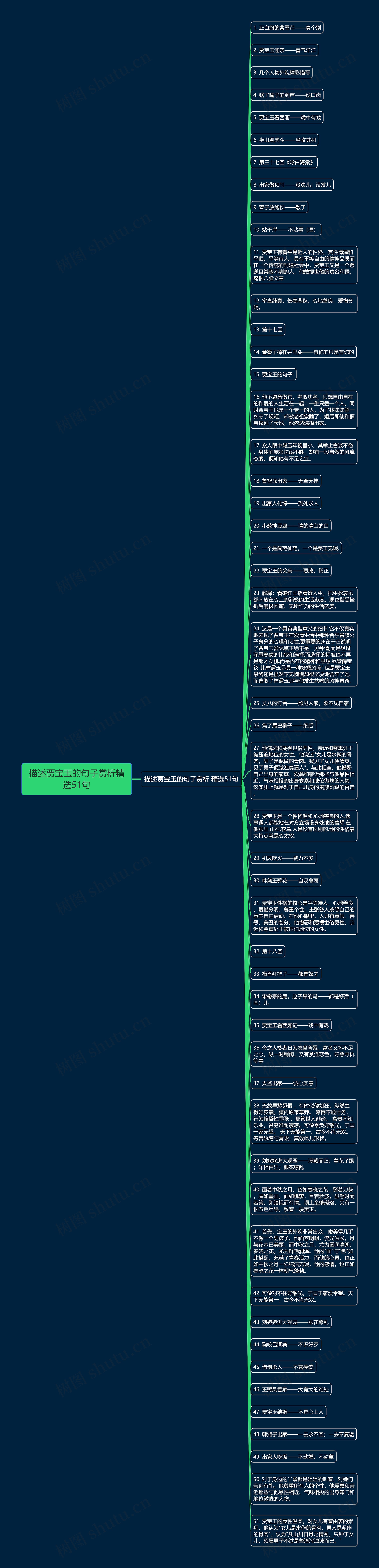 描述贾宝玉的句子赏析精选51句思维导图