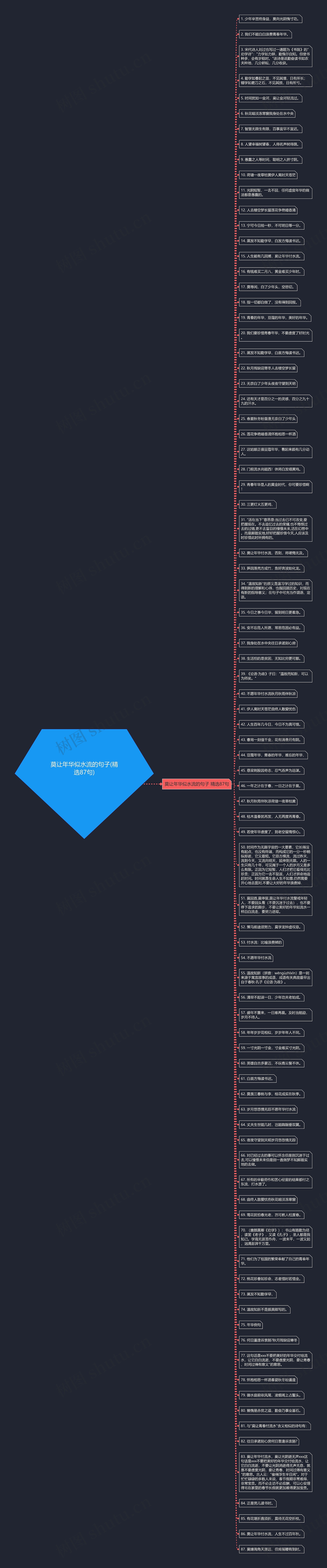 莫让年华似水流的句子(精选87句)思维导图