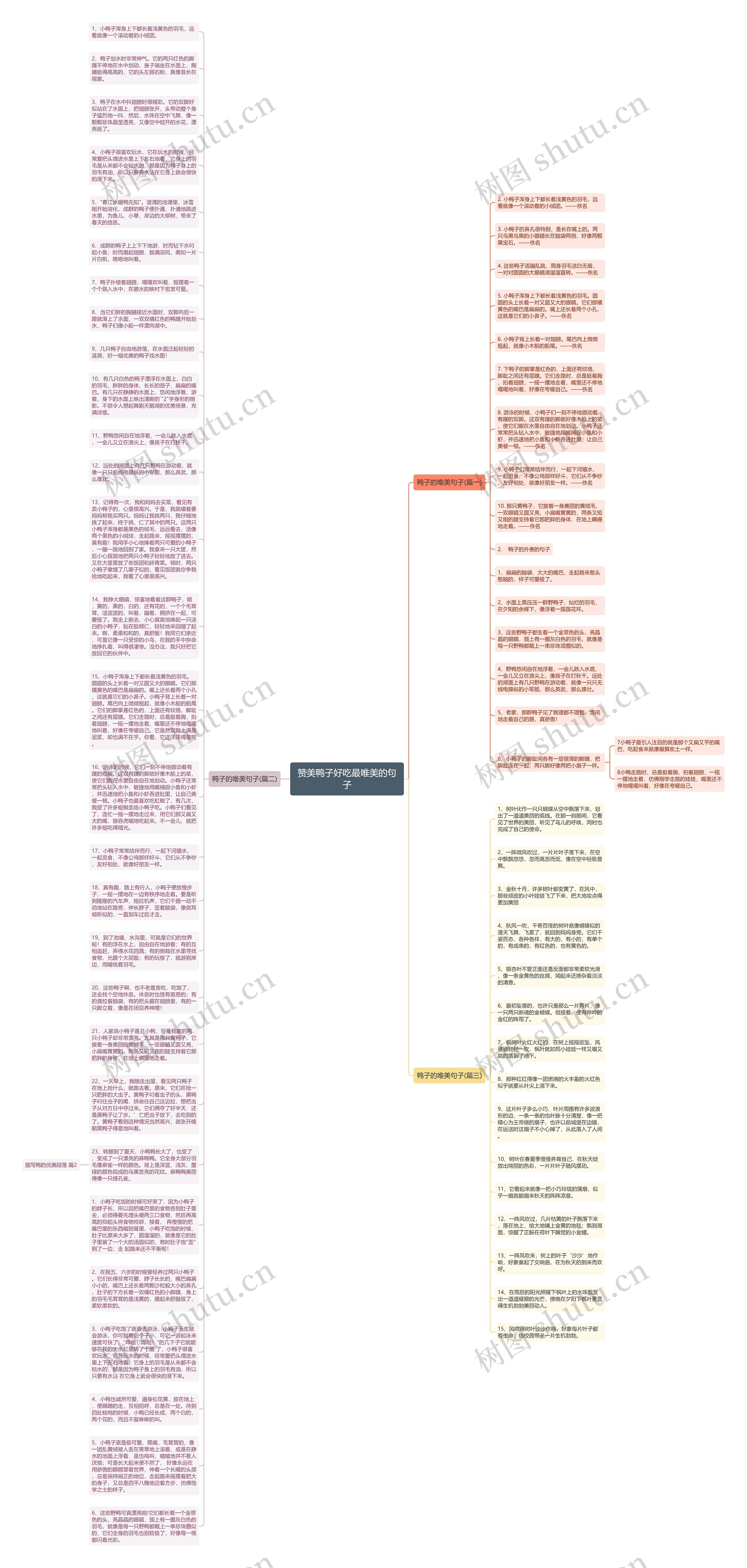 赞美鸭子好吃最唯美的句子思维导图