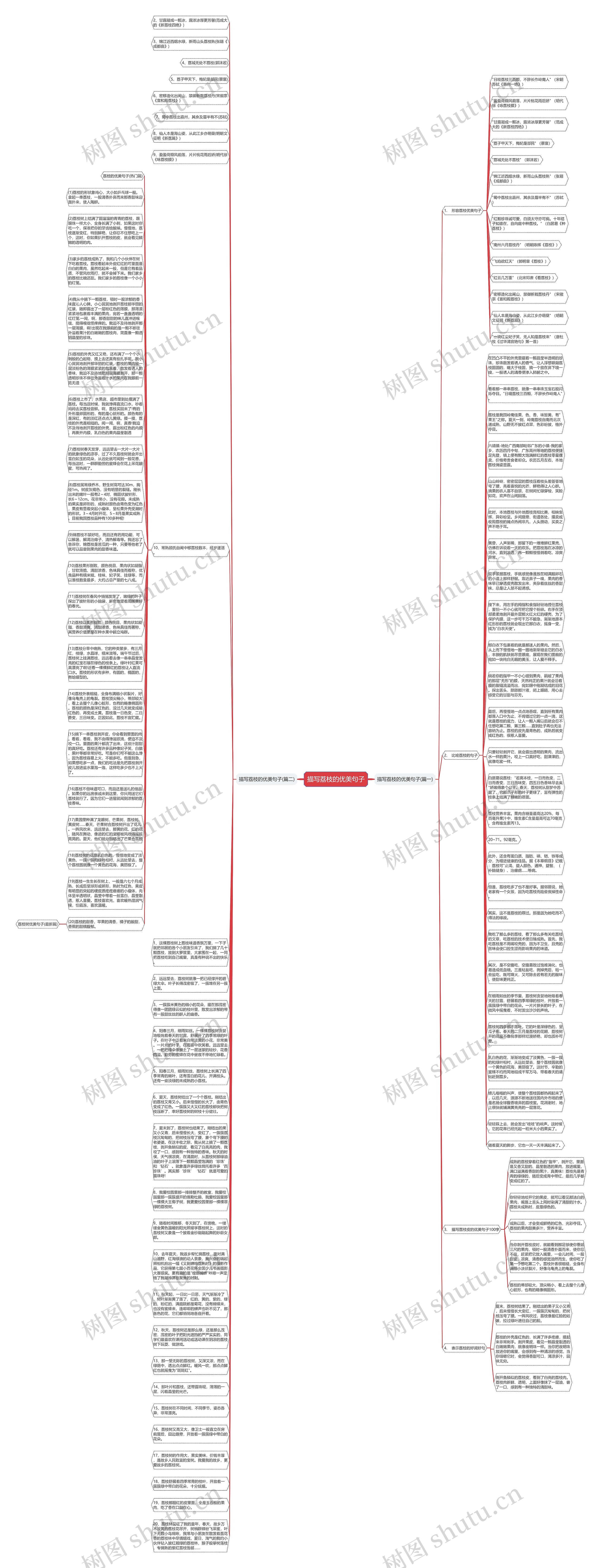 描写荔枝的优美句子思维导图