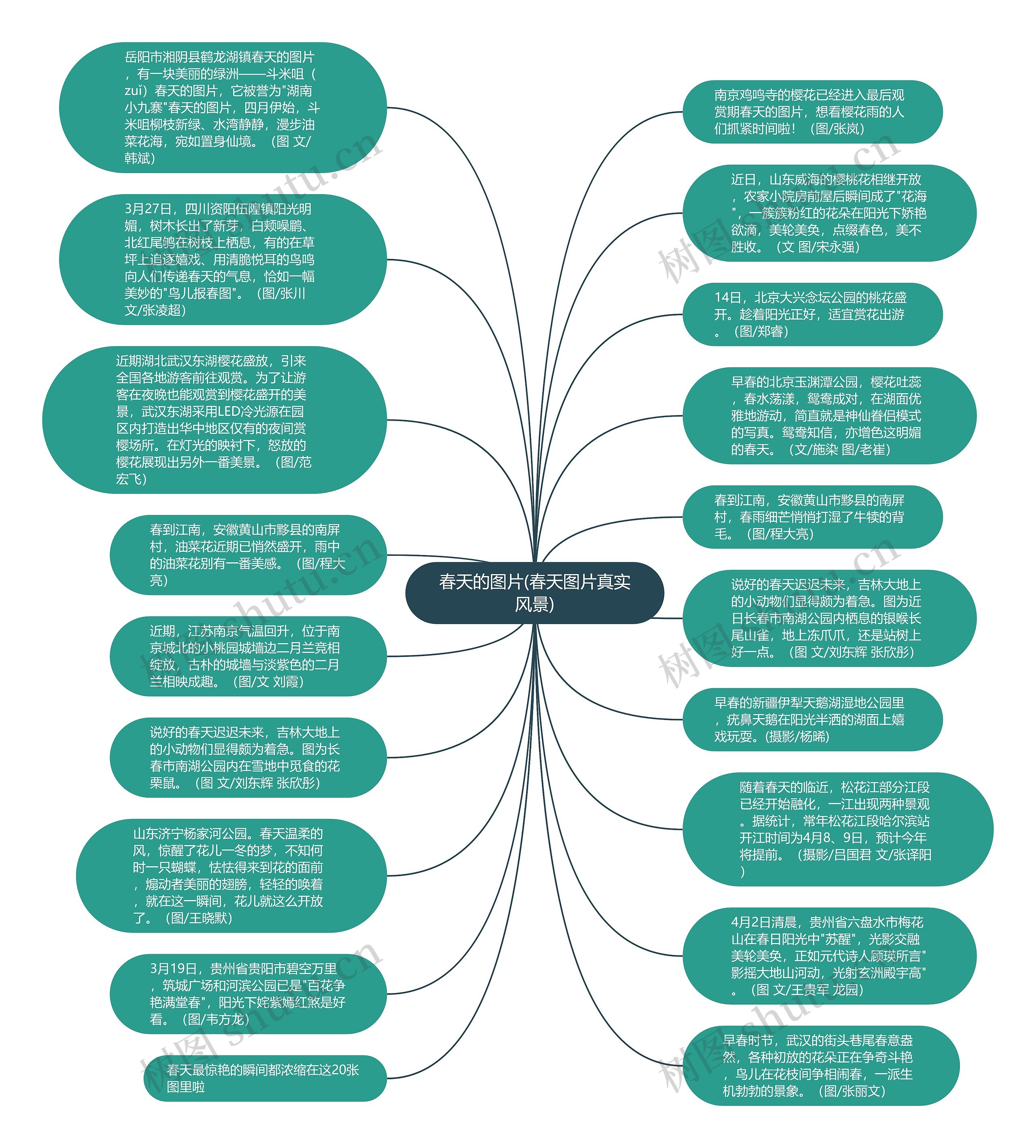 春天的图片(春天图片真实风景)思维导图