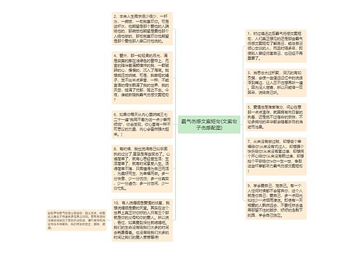 霸气伤感文案短句(文案句子伤感配图)