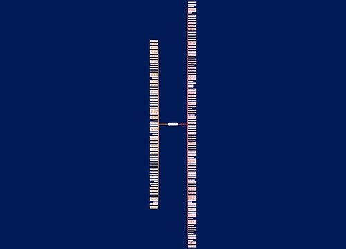 酒桌欢迎客人的句子精选151句