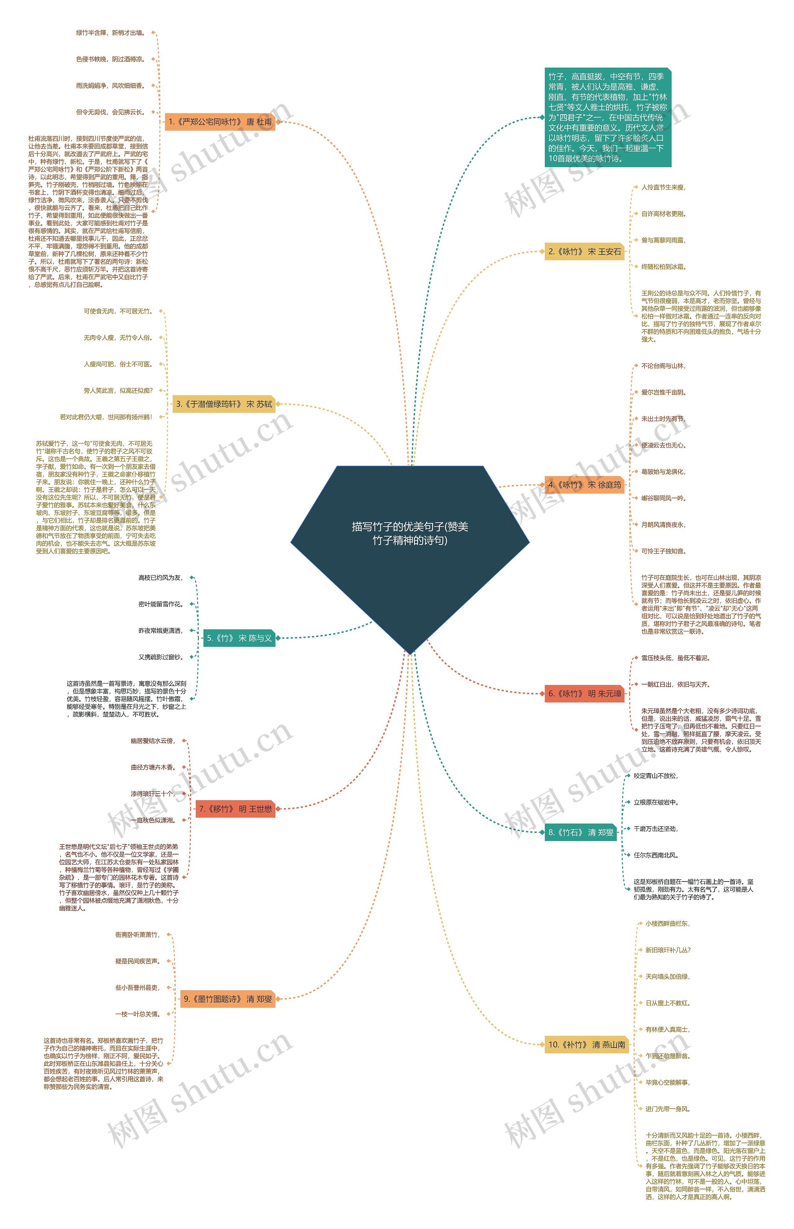 描写竹子的优美句子(赞美竹子精神的诗句)思维导图