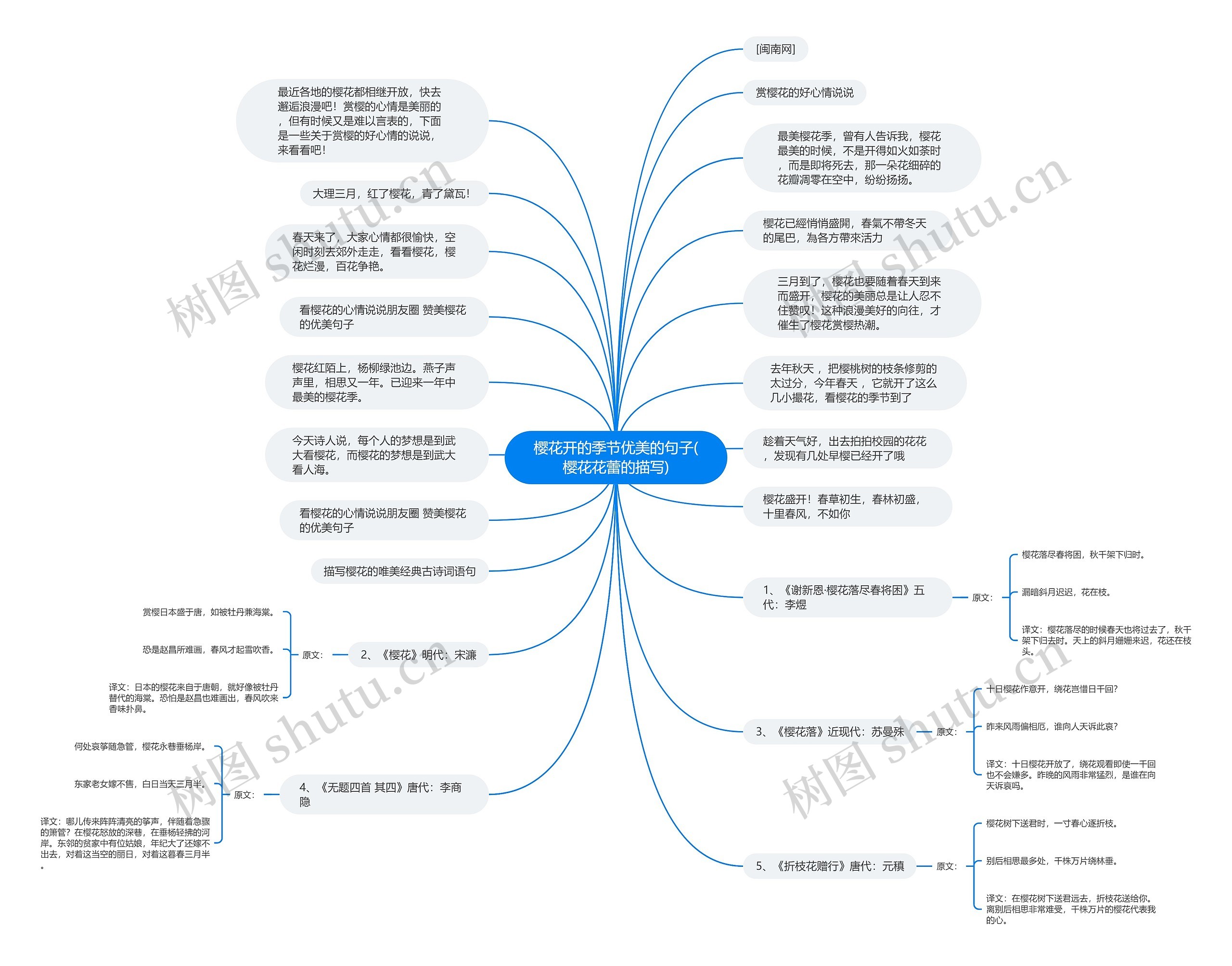 樱花开的季节优美的句子(樱花花蕾的描写)思维导图