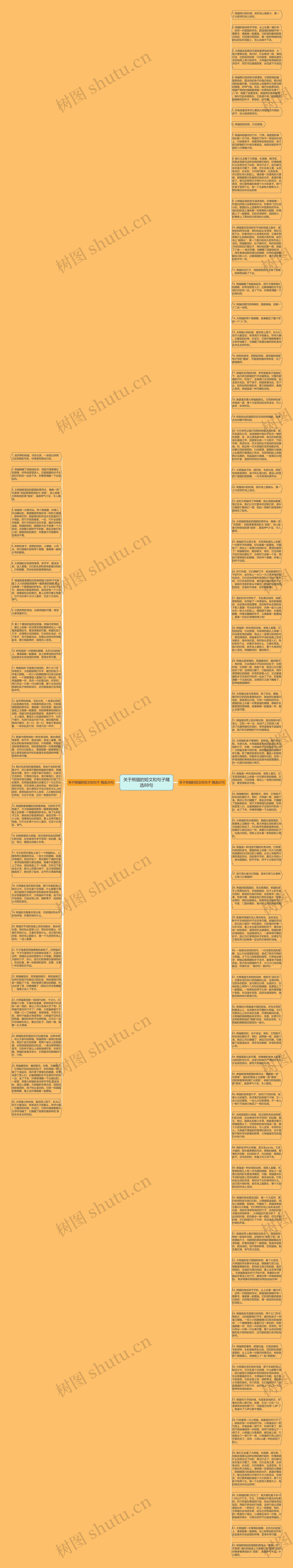 关于熊猫的短文和句子精选88句思维导图