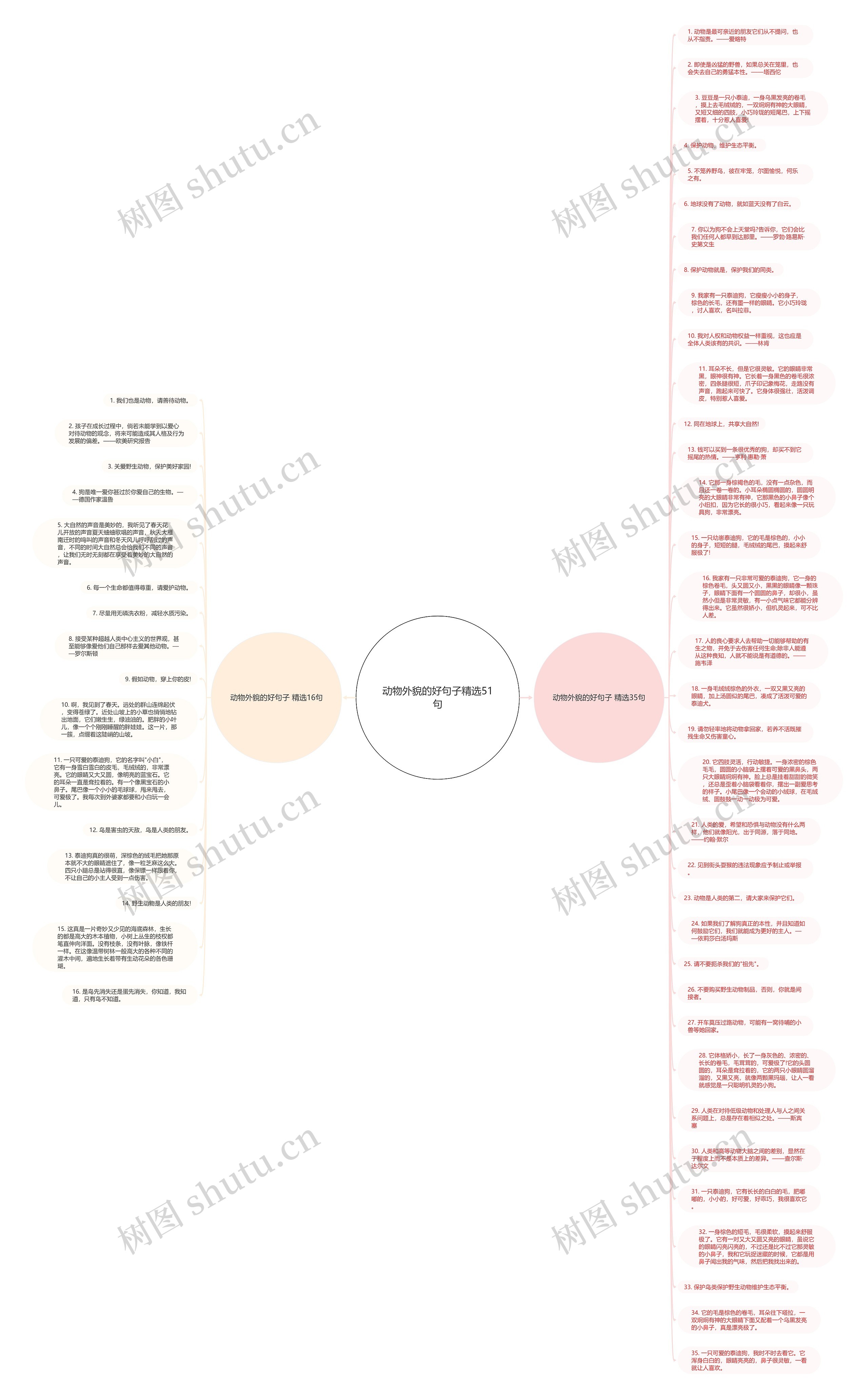 动物外貌的好句子精选51句思维导图