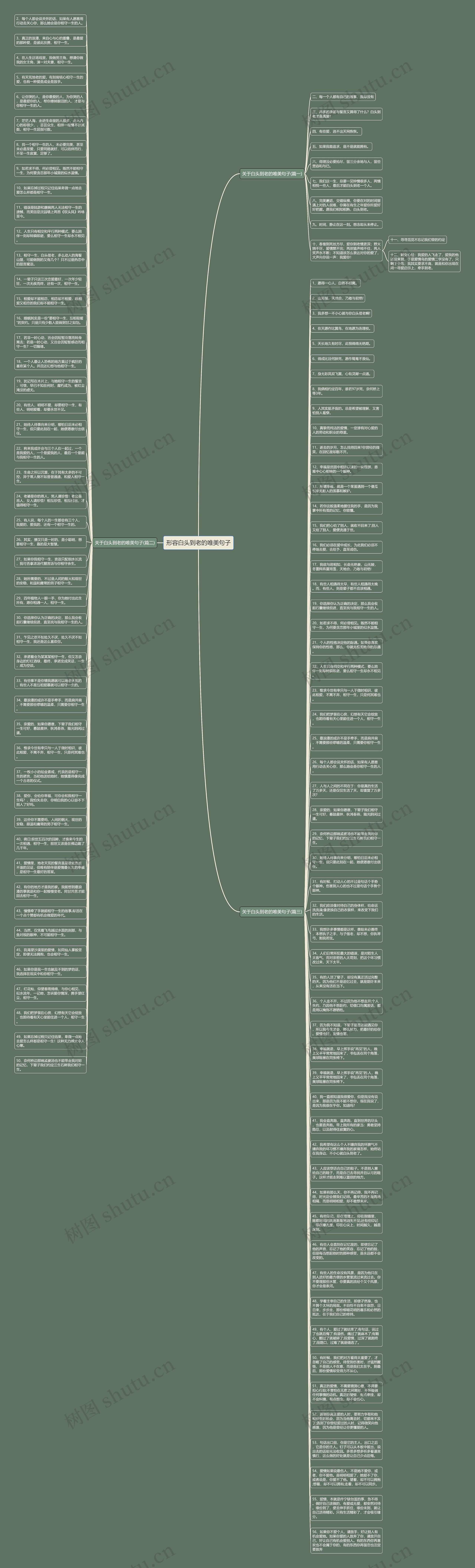 形容白头到老的唯美句子思维导图